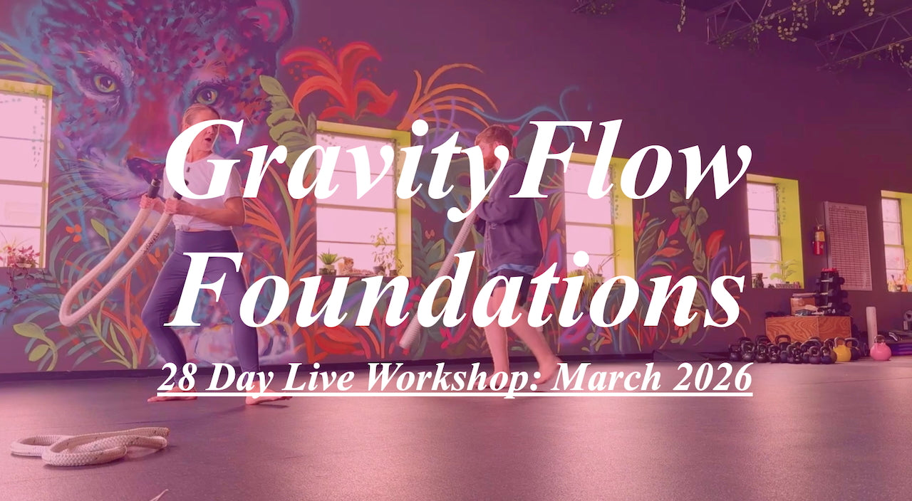 GravityFlow Foundations Workshop